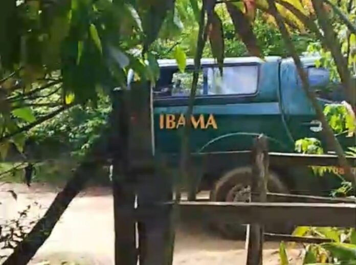 IBAMA-768x572